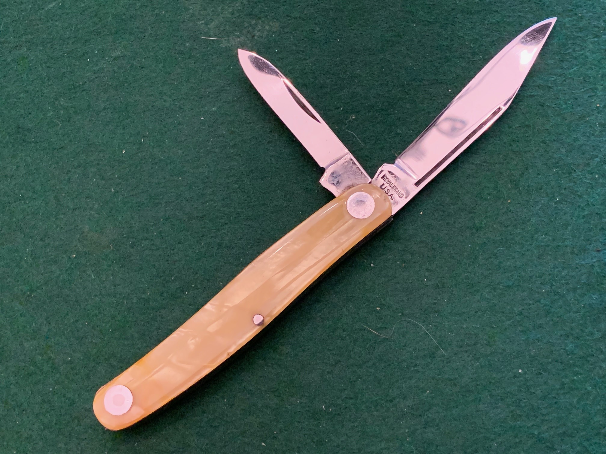 VINTAGE ROYAL BRAND CAMILLUS BIRDS EYE JACK 2 BLADE POCKET KNIFE,  MINT-img-0