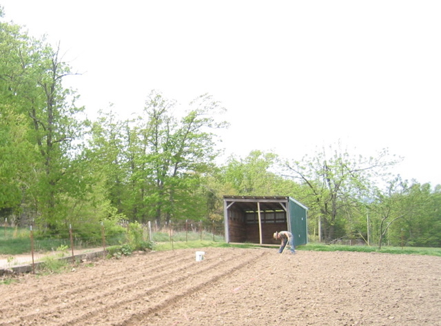 photo00012