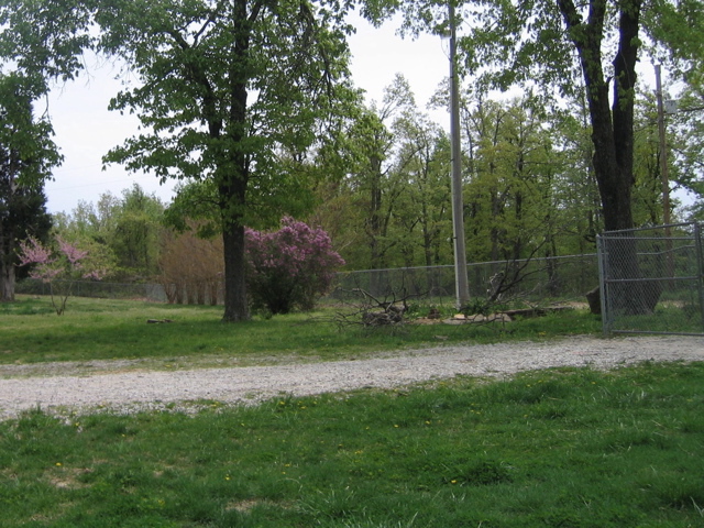 photo00014