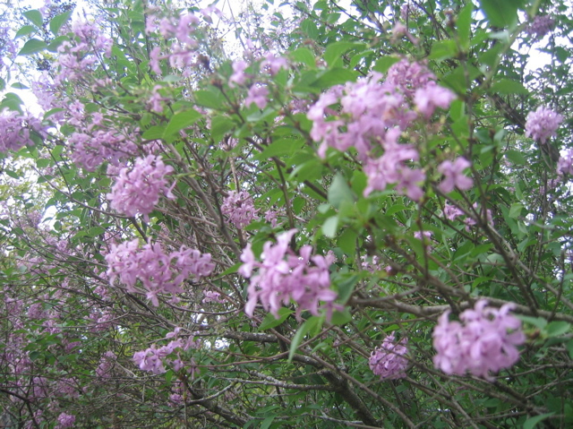 photo00015