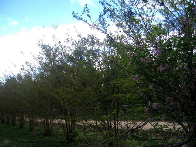 photo00016