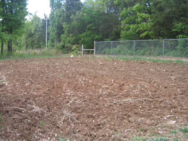 photo00017