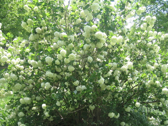 photo00018