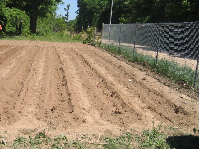 photo00020
