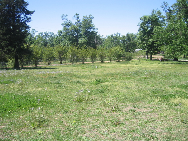 photo00021