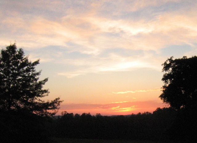 photo00023