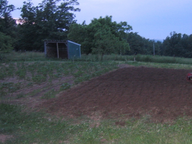 photo00024