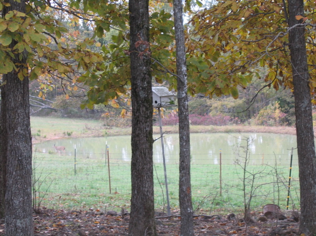 photo00028