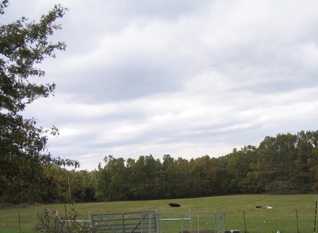 photo00030