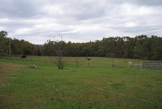 photo00032