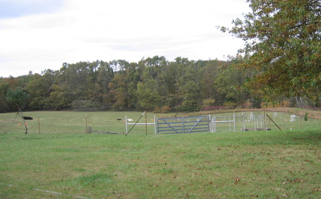 photo00033