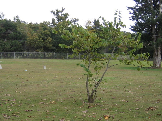 photo00035
