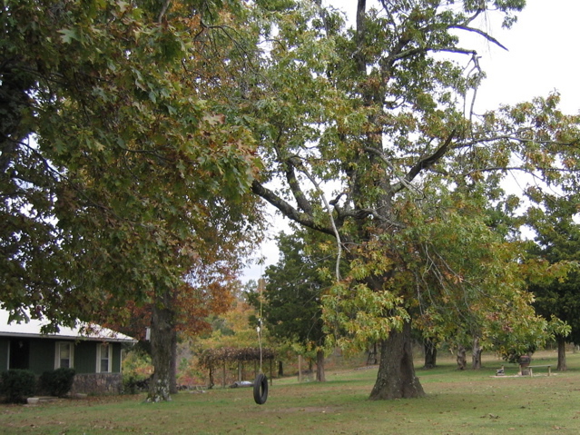 photo00036