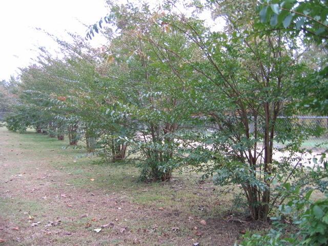 photo00037