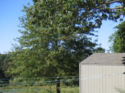 photo00042