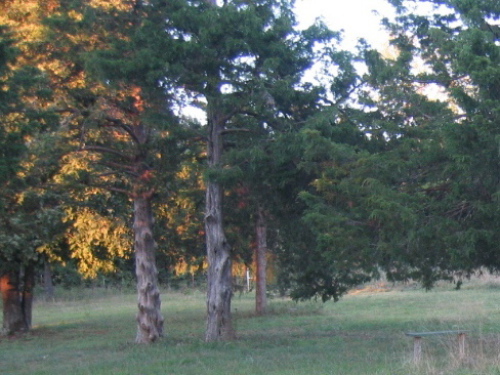 photo00044