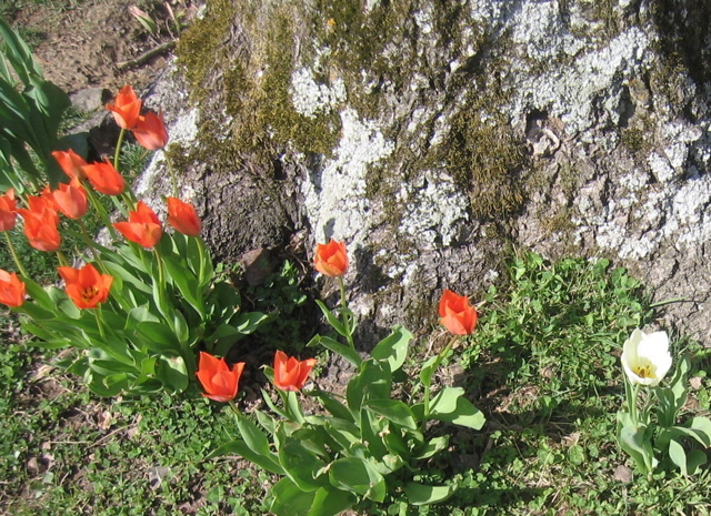 photo00006
