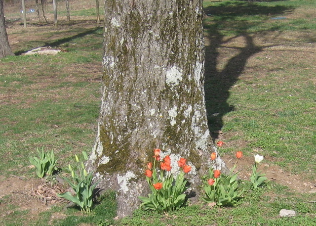 photo00007