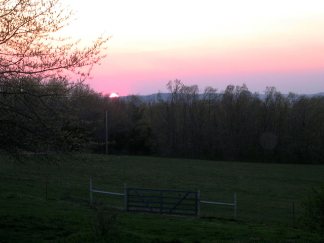 photo00008