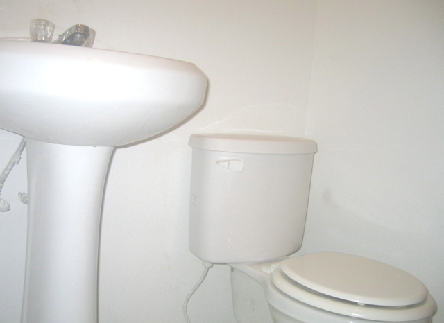 photo00117