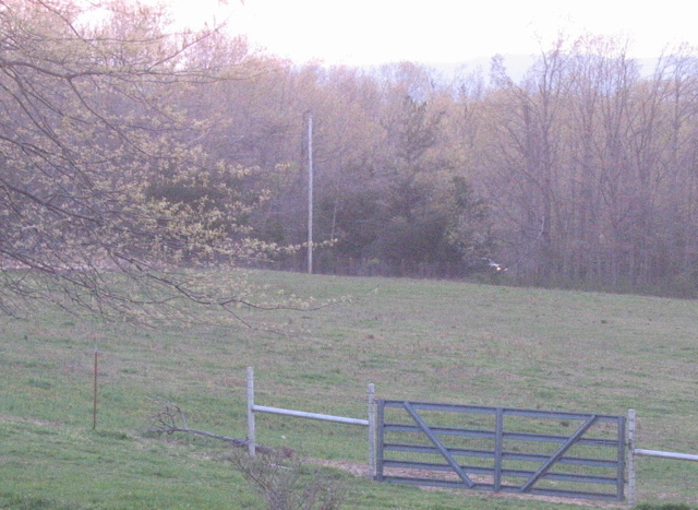 photo00009