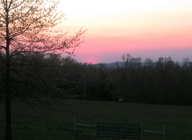 photo00010