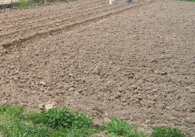 photo00011