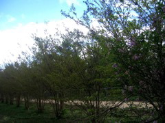 photo00016