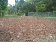 photo00017