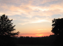 photo00023