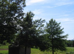 photo00026