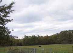 photo00030