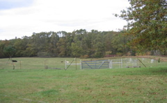 photo00033