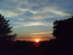 photo00004