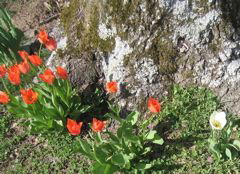 photo00006