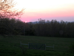 photo00008