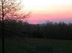 photo00010